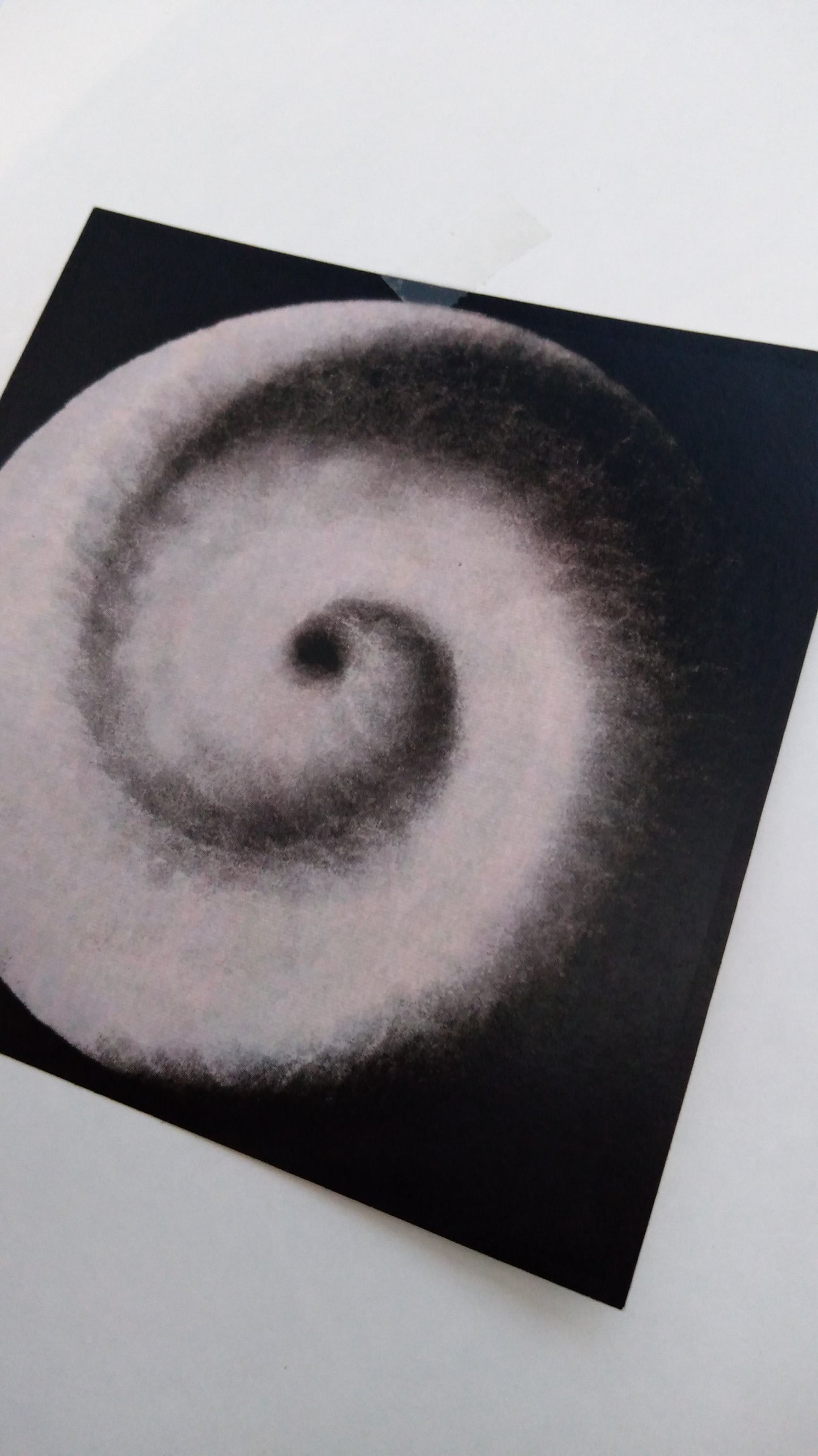 Phantom Activist's - Vortex Zine